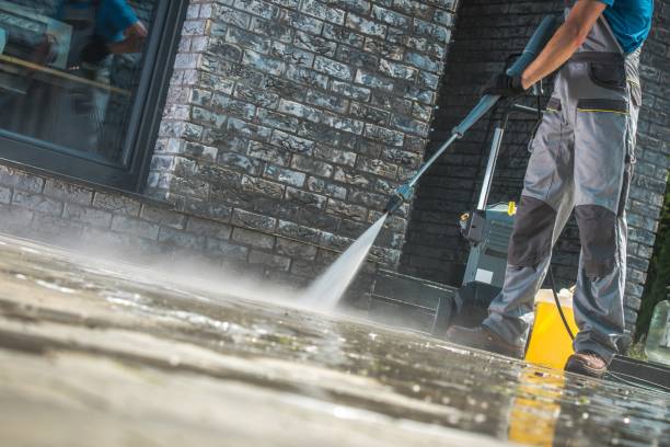 Best Gutter Cleaning  in Pine Valley, CA