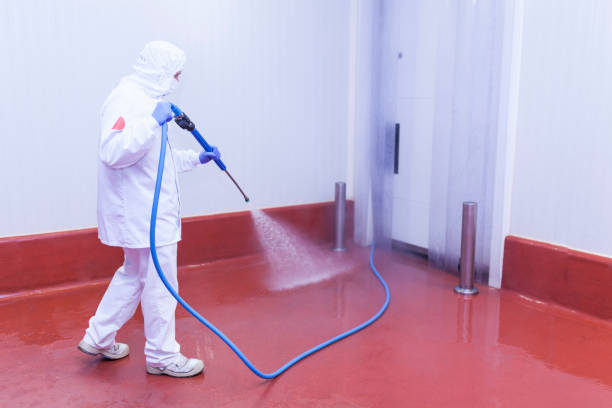 Best Restaurant Pressure Washing  in Pine Valley, CA