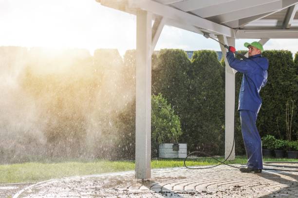 Best Sidewalk and Walkway Cleaning  in Pine Valley, CA